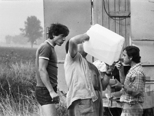 THM-BJ-04424a - Aratás a bátai termelőszövetkezetben az 1980-as években 