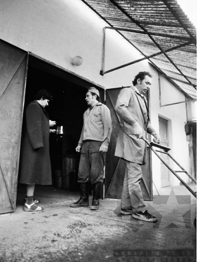 THM-BJ-04537 - Kommunista szombat Tolna megyében az 1980-as években 