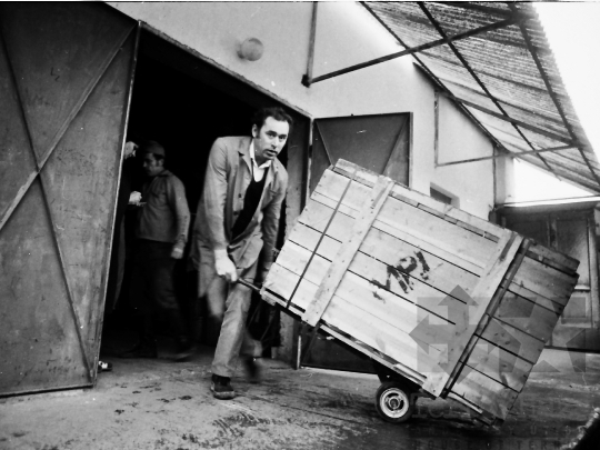 THM-BJ-04538 - Kommunista szombat Tolna megyében az 1980-as években 