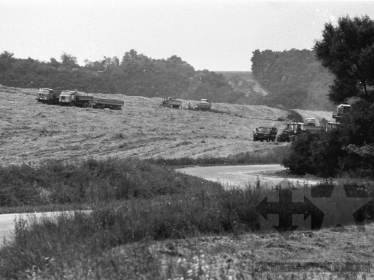 THM-BJ-04655 - Aratás az alsónánai földeken az 1980-as években 