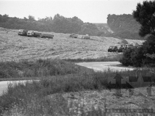 THM-BJ-04657 - Aratás az alsónánai földeken az 1980-as években 