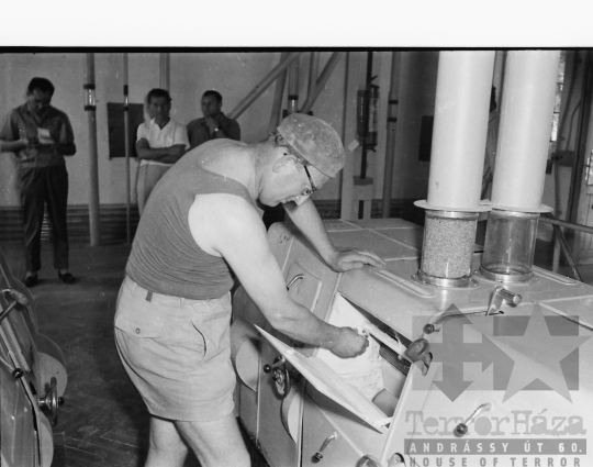 THM-BJ-04692 - Munka a dombóvári malomban az 1960-as években 