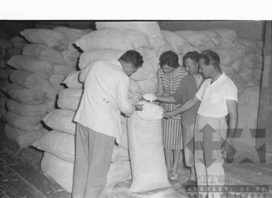 THM-BJ-04693 - Munka a dombóvári malomban az 1960-as években 