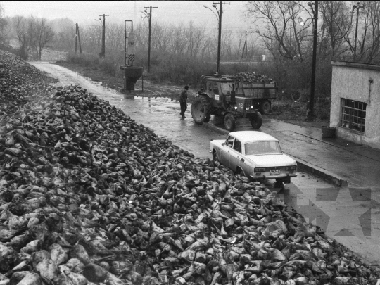 THM-BJ-04799 - Cukorrépa szállítás a nagydorogi vasútállomáson az 1970-es években 
