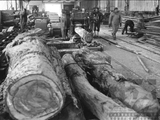 THM-BJ-04873 - Munka a pörbölyi fűrészüzemben az 1970-es években