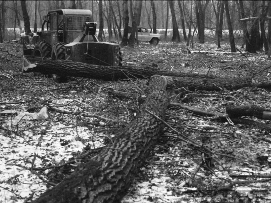 THM-BJ-04875 - Munka a Pörböly közeli erdőkben az 1970-es években