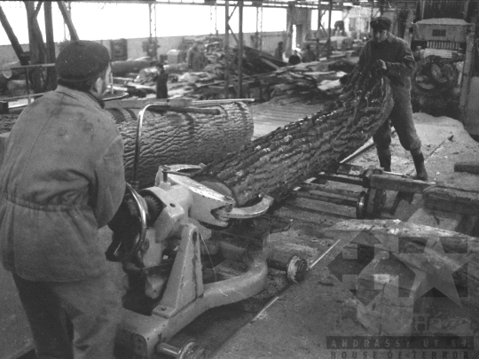 THM-BJ-04890 - Munka a pörbölyi fűrészüzemben az 1970-es években