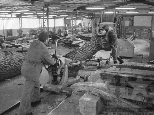 THM-BJ-04891 - Munka a pörbölyi fűrészüzemben az 1970-es években