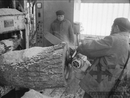 THM-BJ-04893 - Munka a pörbölyi fűrészüzemben az 1970-es években