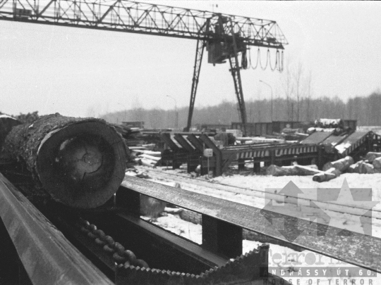 THM-BJ-04895 - Munka a pörbölyi fűrészüzemben az 1970-es években