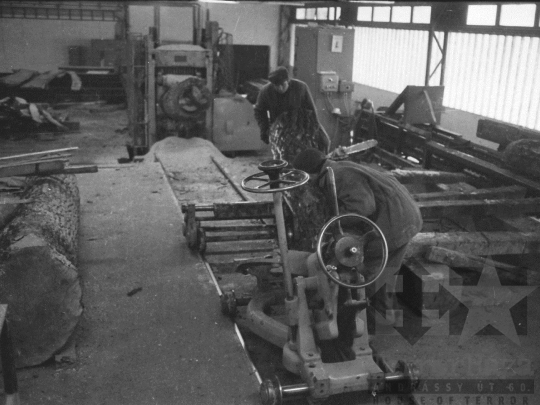 THM-BJ-04896 - Munka a pörbölyi fűrészüzemben az 1970-es években