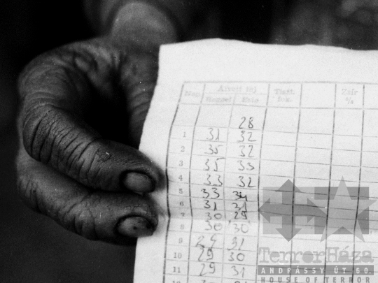 THM-BJ-04902 - Asszony és lánya élete egy kajdacsi háztáji gazdaságban az 1970-es években 