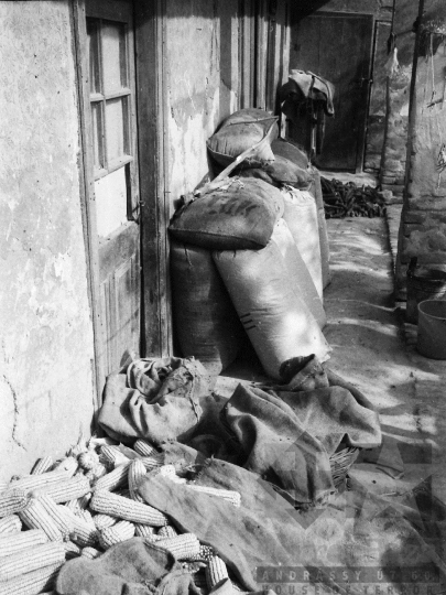 THM-BJ-04909 - Asszony és lánya élete egy kajdacsi háztáji gazdaságban az 1970-es években 