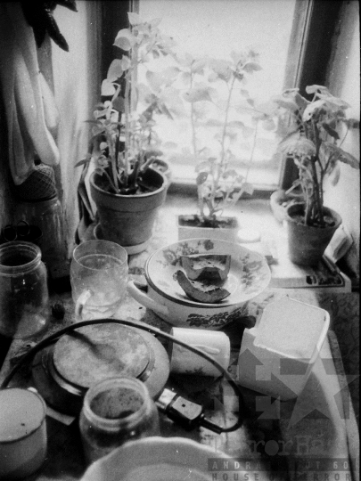 THM-BJ-04916 - Asszony és lánya élete egy kajdacsi háztáji gazdaságban az 1970-es években 