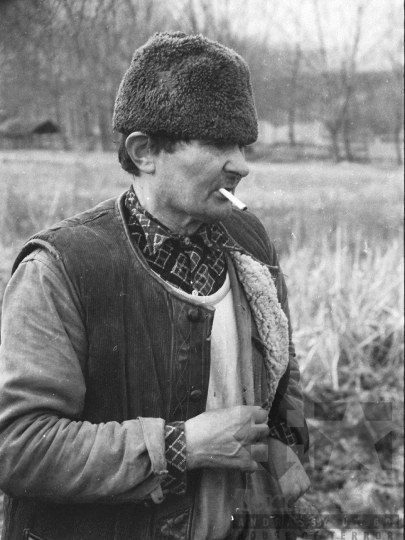 THM-BJ-04932 - Juhtenyésztés Kakasdon az 1970-es években 