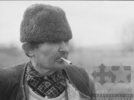 THM-BJ-04935 - Juhtenyésztés Kakasdon az 1970-es években 