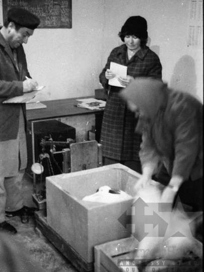 THM-BJ-04975 - Mucsi falukép az 1970-es években