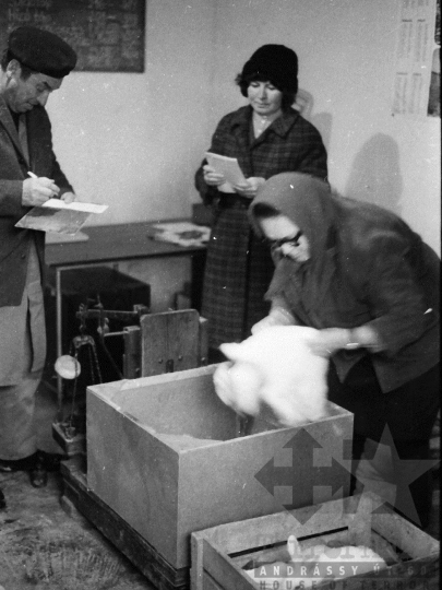 THM-BJ-04975a - Mucsi falukép az 1970-es években