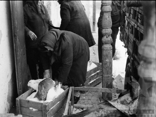 THM-BJ-04976 - Mucsi falukép az 1970-es években