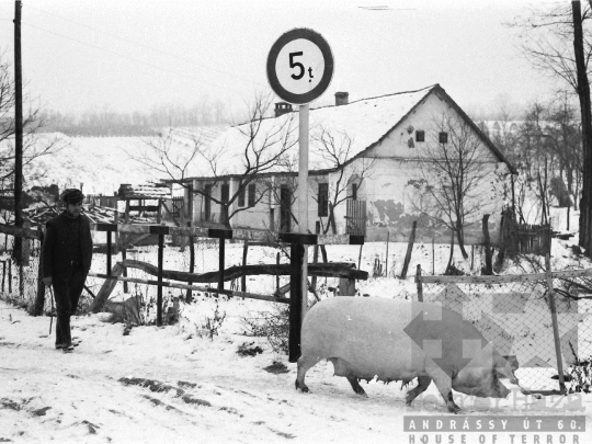 THM-BJ-04979 - Mucsi falukép az 1970-es években