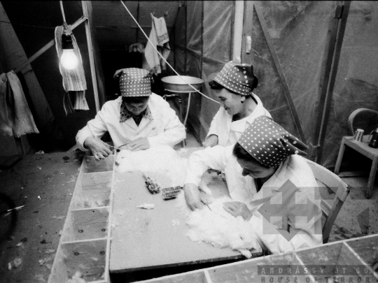 THM-BJ-04982 - Nyúlnyírás Regölyön az 1970-s években 