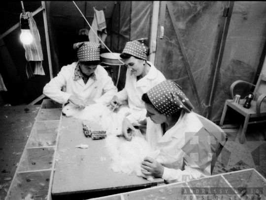 THM-BJ-04983 - Nyúlnyírás Regölyön az 1970-s években 