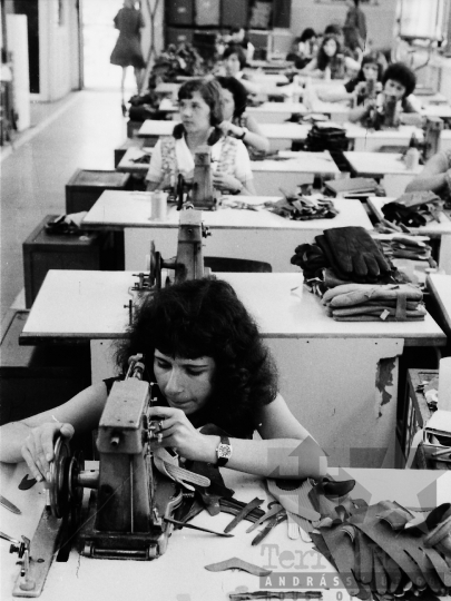 THM-BJ-05080 - Pécsi Kesztyűgyár dombóvári üzeme az 1970-es években 