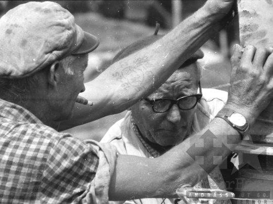 THM-BJ-05373 - Paksi Állami Gazdaság az 1970-es években 