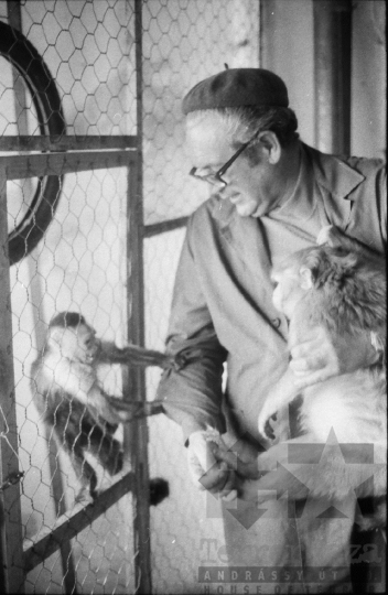 THM-BJ-05452 - Kisvári István kisállatkereskedő Szekszárdon az 1980-as években 