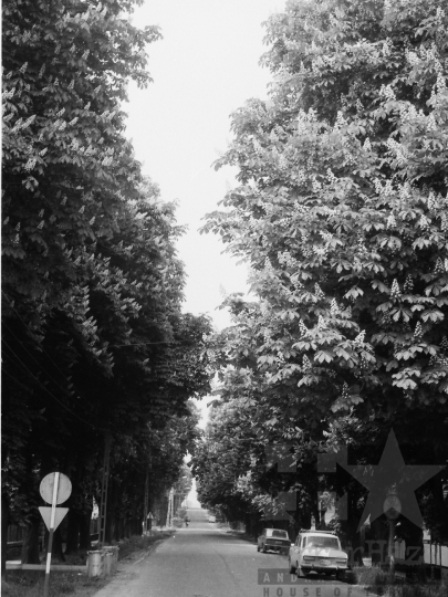 THM-BJ-05469a - Fasor Dombóváron az 1980-as években