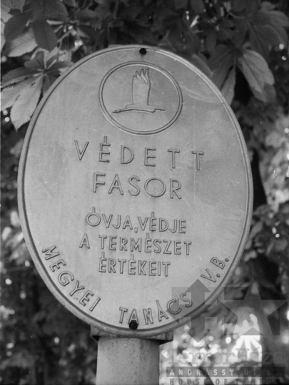THM-BJ-05471 - Fasor Dombóváron az 1980-as években