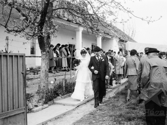 THM-BJ-05529 - Falusi esküvő Szálkán az 1980-as években