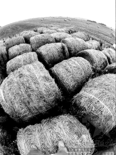 THM-BJ-05574 - Szalmabálák Csibrákon az 1980-as években 