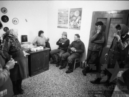 THM-BJ-05627 - Munka a kocsolai termelőszövetkezet kertészetében az 1980-as években 