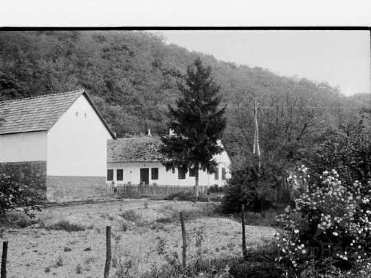 THM-BJ-05677 - Mórágyi életkép az 1980-as évekből 