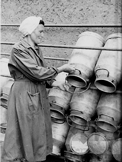 THM-BJ-05903 - Kölesdi tejüzem az 1960-as években 
