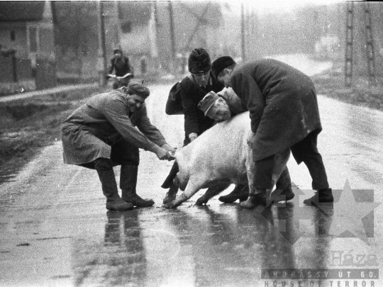 THM-BJ-05932 -  Falusi életkép Zombán az 1970-es években