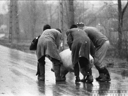 THM-BJ-05937 -  Falusi életkép Zombán az 1970-es években