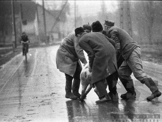 THM-BJ-05938 -  Falusi életkép Zombán az 1970-es években