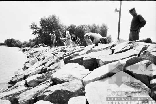 THM-BJ-05960 - Kommunista Ifjúsági Szövetség fadd-dombori táborának építése az 1960-as években 