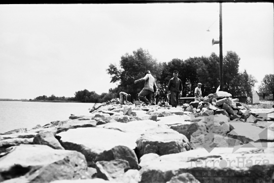 THM-BJ-05961 - Kommunista Ifjúsági Szövetség fadd-dombori táborának építése az 1960-as években 