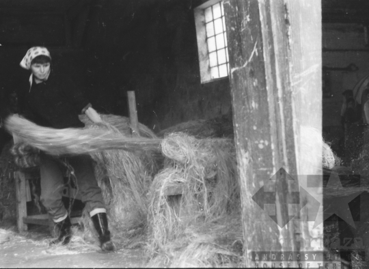 THM-BJ-06010 - Furkópusztai kendergyár az 1960-as években 