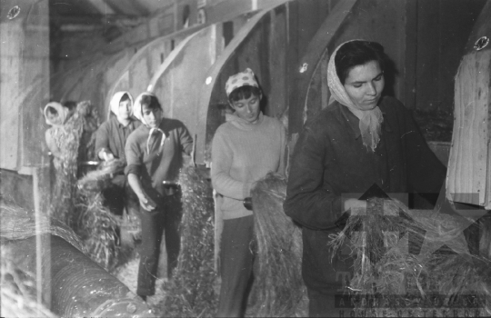 THM-BJ-06012 - Furkópusztai kendergyár az 1960-as években 