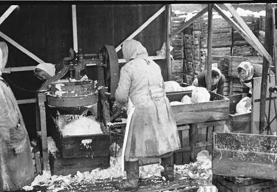 THM-BJ-06040 - Nagydorogi ÁFÉSZ savanyító üzeme az 1960-as években 