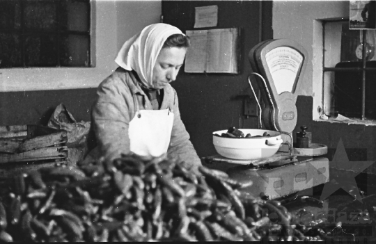 THM-BJ-06041 - Nagydorogi ÁFÉSZ savanyító üzeme az 1960-as években 