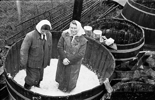 THM-BJ-06047 - Nagydorogi ÁFÉSZ savanyító üzeme az 1960-as években 