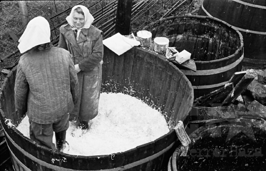 THM-BJ-06048 - Nagydorogi ÁFÉSZ savanyító üzeme az 1960-as években 