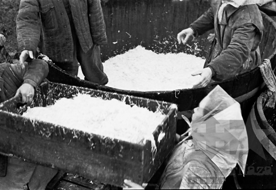 THM-BJ-06049 - Nagydorogi ÁFÉSZ savanyító üzeme az 1960-as években 