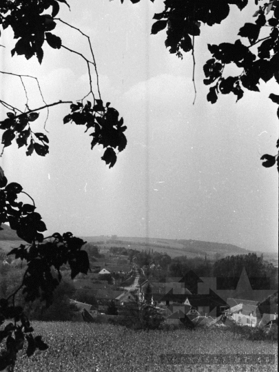 THM-BJ-06182 - Kukoricatábla Kisdorog mellett az 1970-es években 