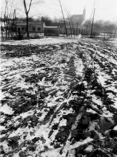 THM-BJ-06292 - Életkép a nagyszokolyi termelőszövetkezetben az 1980-as években 